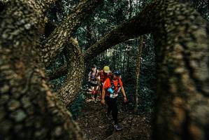 BIB: 
                            <button type="button" onclick="openModal(25702459)" class="btn btn-primary btn-sm float-right btn-popup" data-toggle="modal" data-target=".modal-high-quality">
                        <i class="fas fa-shopping-cart"></i> Add to Cart
                    </button>
                                            <button type="button" onclick="isThisMe(25702459, true)" class="btn btn-success btn-sm float-right btn-popup btn-isme hidden" data-toggle="tooltip" data-placement="bottom" title="นี่คือรูปของคุณใช่ไหม คลิกที่นี่เพื่อเอาเข้าอัลบั้ม">
                        <i class="fas fa-plus"></i> Add to album
                    </button>
                    <button type="button" onclick="isThisMe(25702459, false)" class="btn btn-warning btn-sm float-right btn-popup btn-isnotme hidden">
                        <i class="fas fa-ban"></i> Remove from album
                    </button>